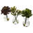 6 " H Faux Succulent Plant and Succulent in Glass Decorative Vase