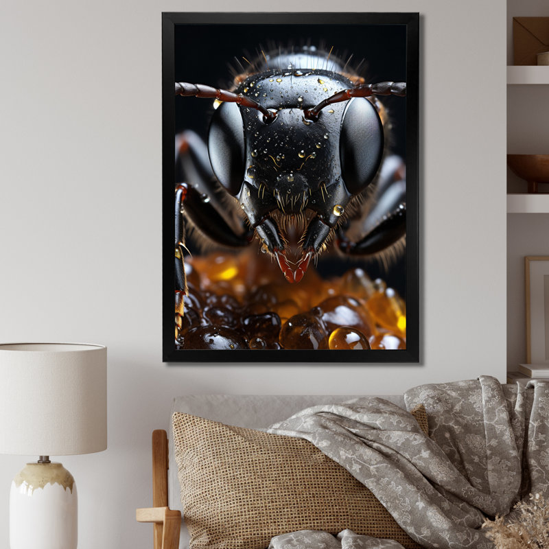 Ait Ant Delicate Explorer I - reproduction sur toile, Toile encadrée noire simple, H 32 po x l 24 po x P 1 po