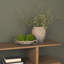 Vase en terre cuite vieilli deux tons 10,6H Cotto-133228873