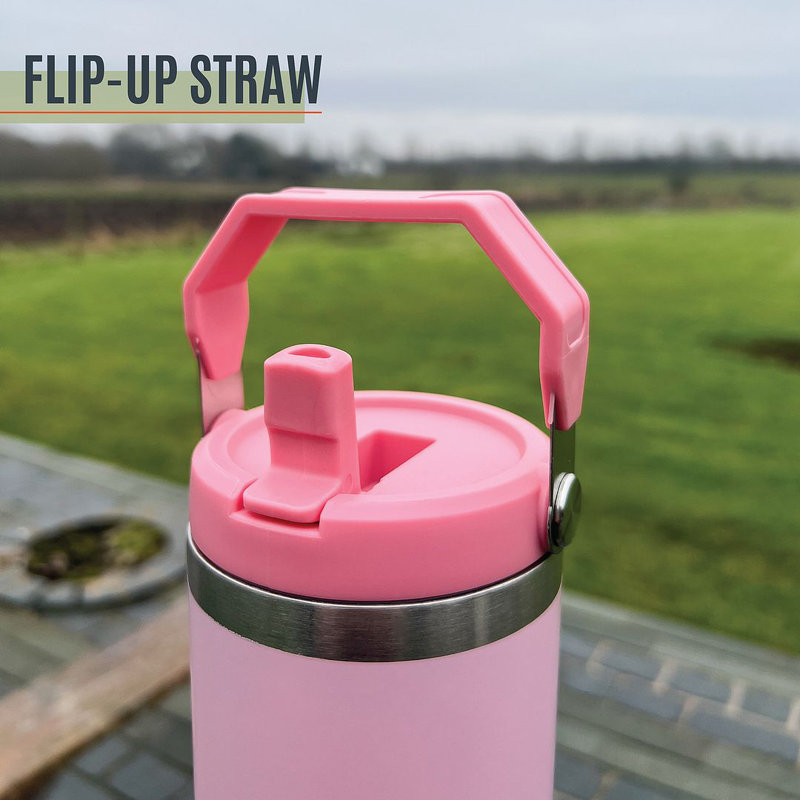 Milestone 890 mL Double Wall Insulated Stainless Steel Flip & Sip Bottle with, Pink