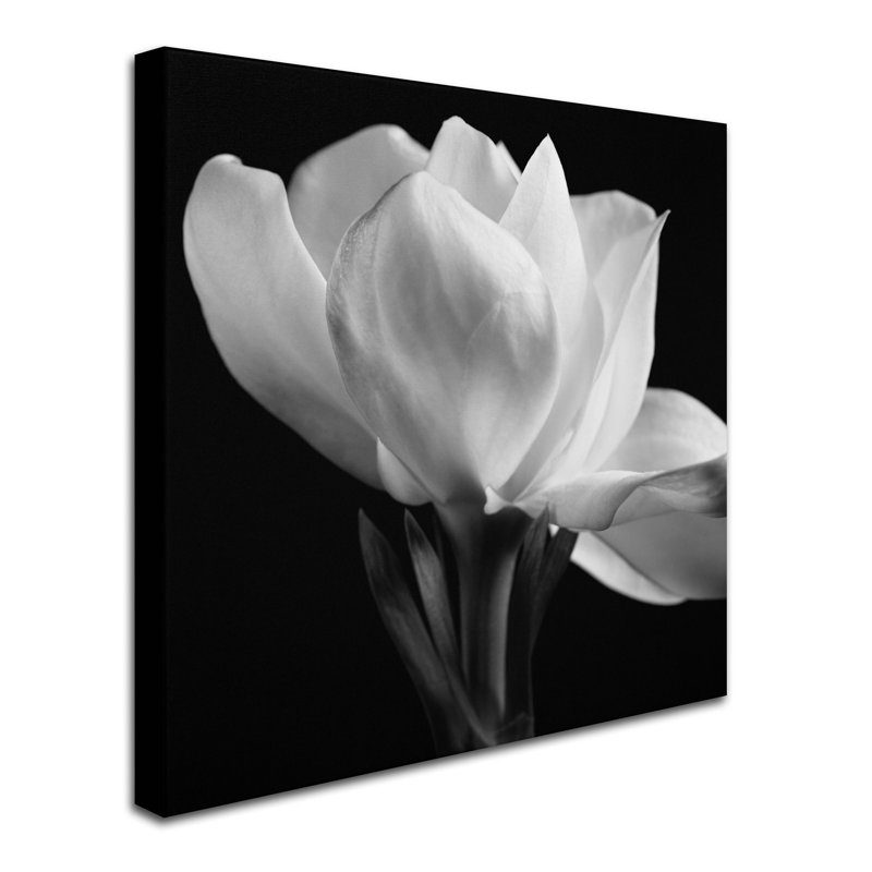 « square », reproduction de photo sur toile, H 35 po x l 35 po x P 2 po
