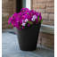 Jacey Planter-1488386386
