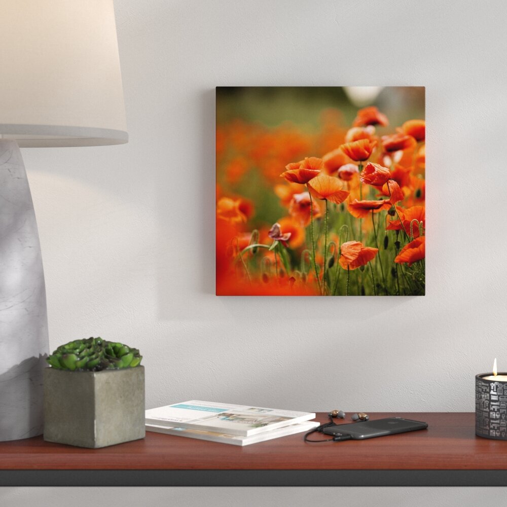 Glasbild Orange Poppies I, Fotodruck