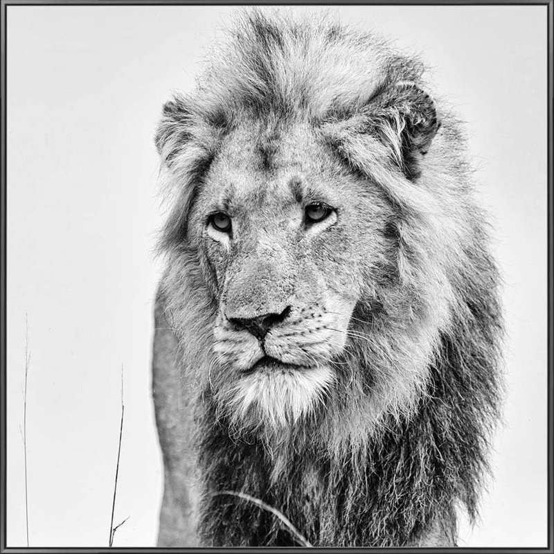 Unknown - Single Picture Frame Print on Glass