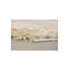 Rug Wool Area Rug in Beige
