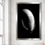 Dream Feathers - Photographie d'un seul cadre-87453696-89017826