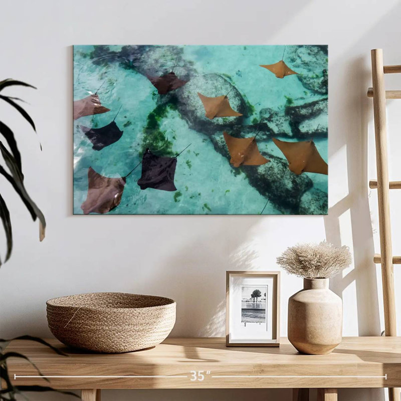 Famille de raies sous l'eau Crowle, H 16 po x l 24 po