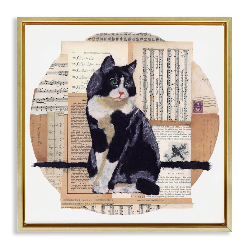 «Tuxedo Cat Collage» par Nancy Overton, Cadre flottant métallique doré, H 25 po x l 25 po