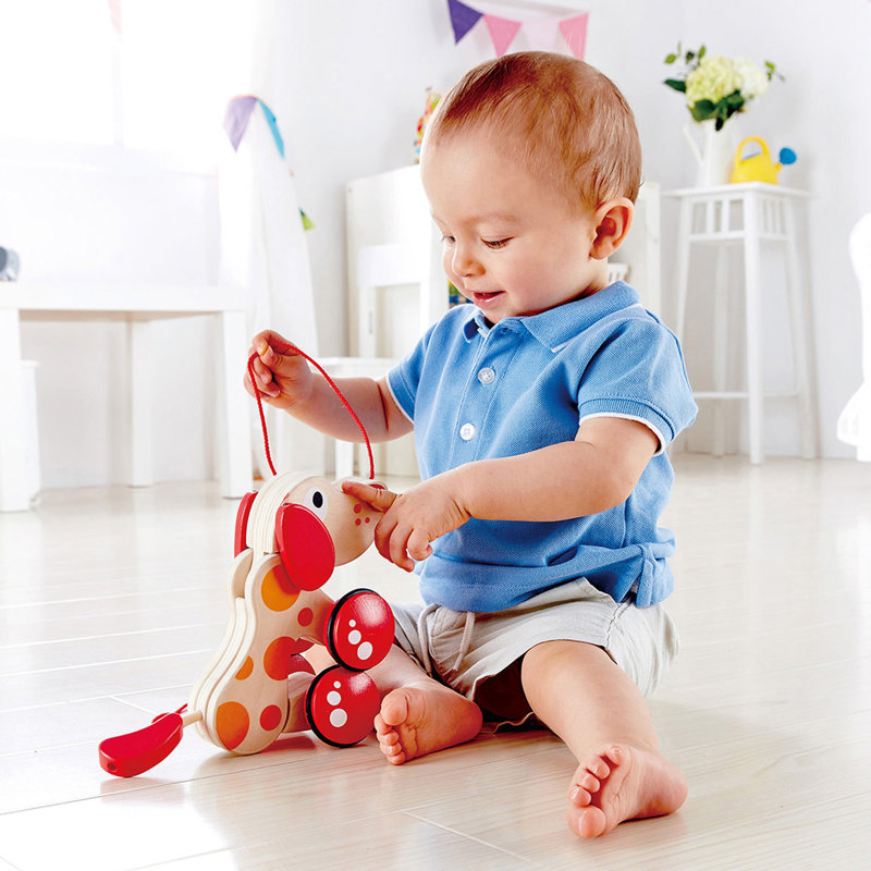 Pull Along Toy