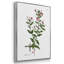 " Rose Botanical I " 3 - Pieces-91891241-91891239