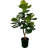 Hand-Made Primrue Artificial Fiddle Leaf Fig Tree-73559330