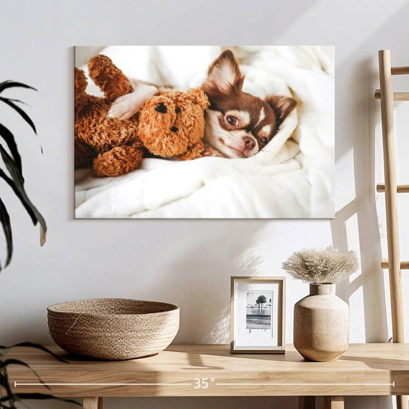 Chihuahua Brampt avec ours en peluche, H 16 po x l 24 po