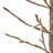 58'' Lighted Trees & Branches