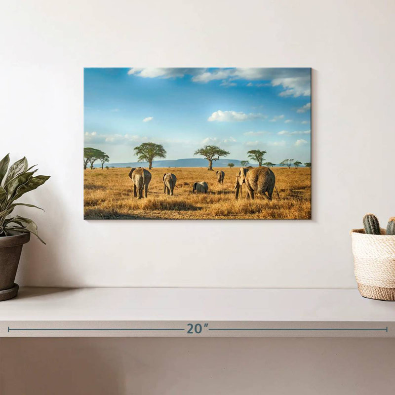 Éléphants Brampt Serengeti, H 8 po x l 12 po