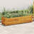 vidaXL Garden Raised Bed, Wooden Raised Flower Bed for Flowers and Plants, Solid Acacia Wood, Brown-1907704269