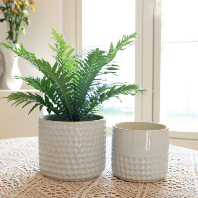 Elayna Ceramic Pot Planter