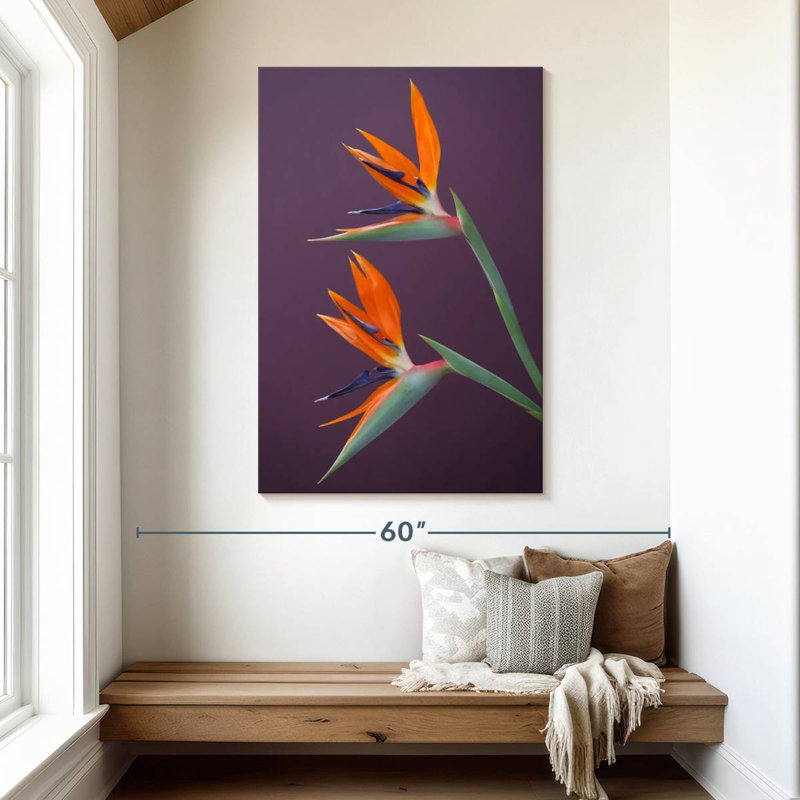Harnek oiseaux vivaces du paradis, H 48 po x l 32 po