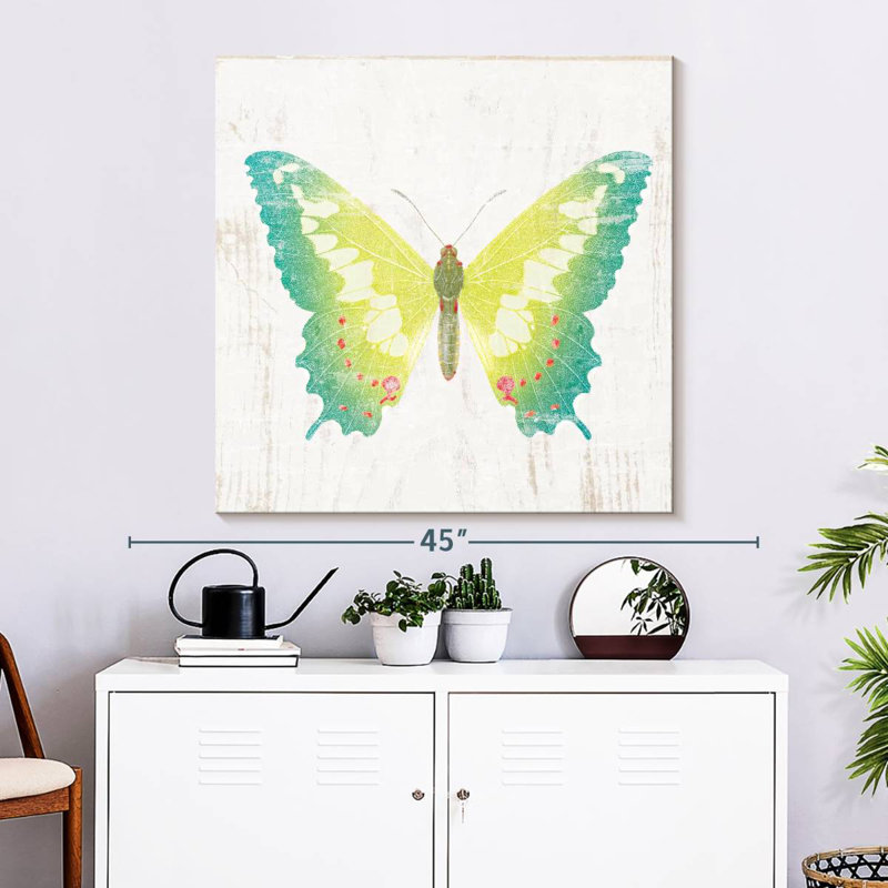 Papillon de grange blanche Brampt III, H 33 po x l 33 po
