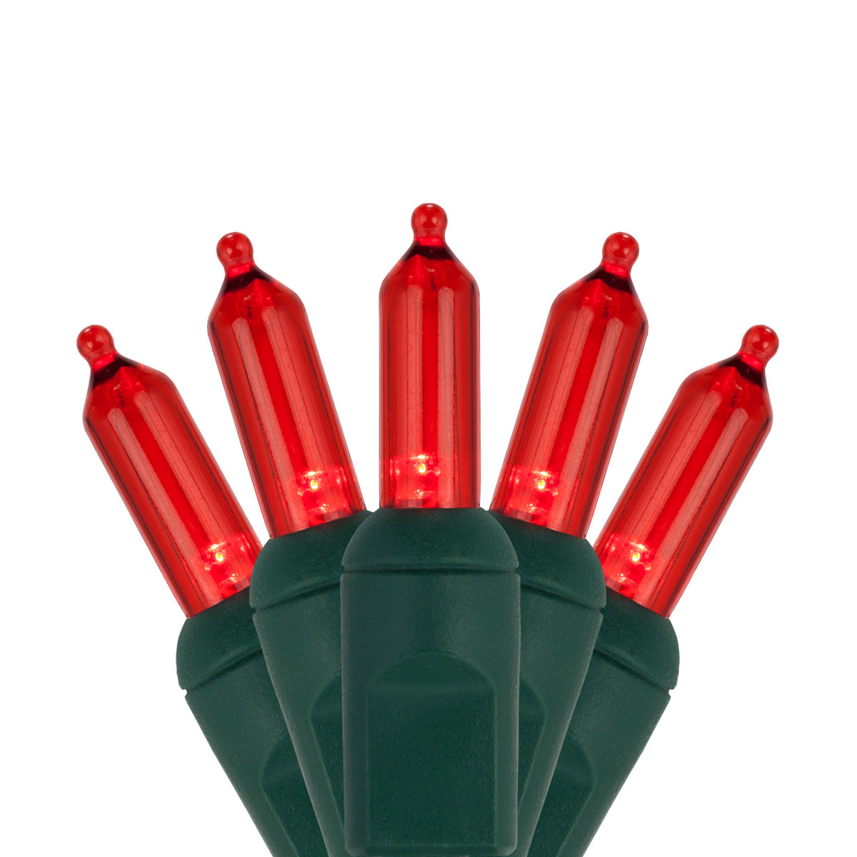 25.5' Steady LED String Lights, Red