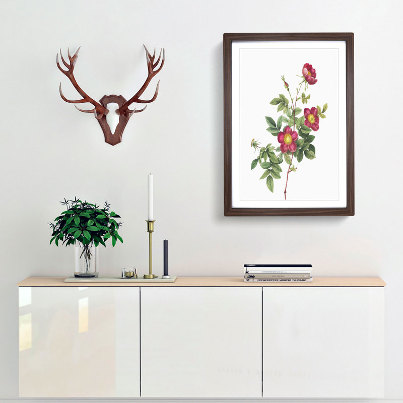 Common Alpine Rose in Pink by Pierre-Joseph Redoute - Picture Frame Painting, 48cm H x 36cm W x 2cm D, Walnut Framed