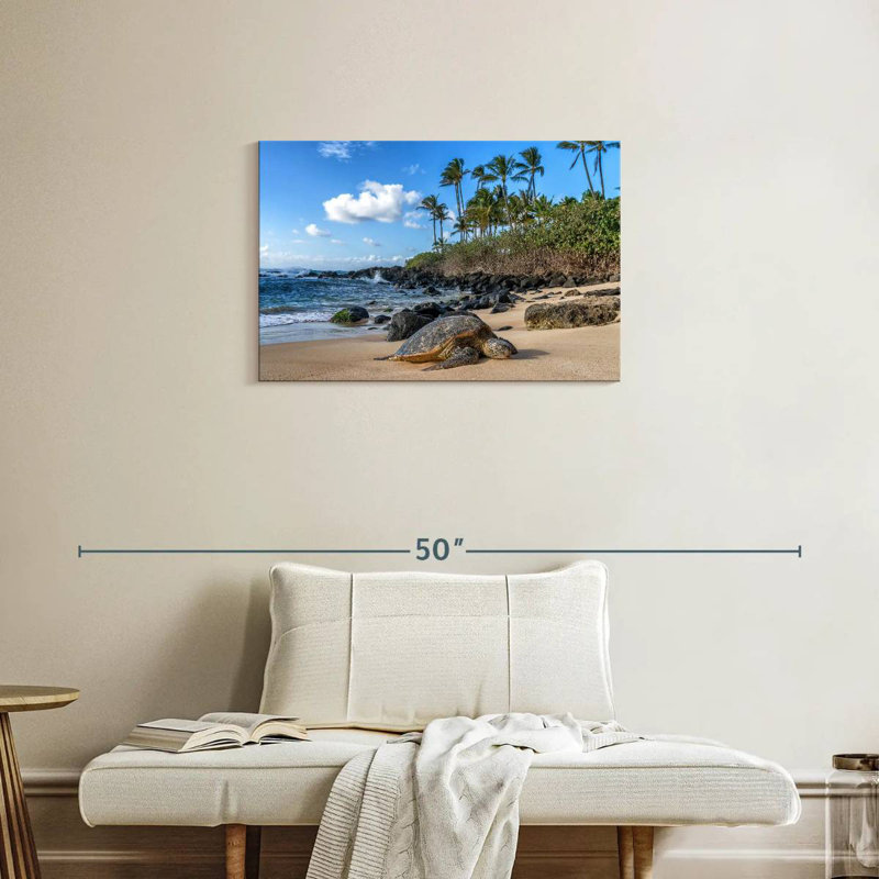 Tortue de mer Brampt Oahu Island, H 20 po x l 30 po