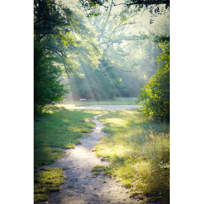 Sun Rays In A Forest by 2xWilfinger - Wrapped Canvas Print