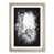 Oak Framed selected
