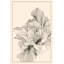 Flowingform Print-587156594-587156596-587156604