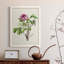 «Pretty Pink Botanicals V», reproduction sur toile encadrée-424888224-424888254