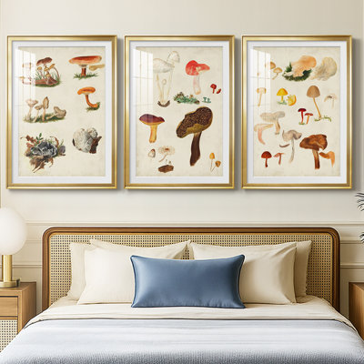 Mushroom Species X - reproduction encadrée sur mesure de qualité supérieure mate - 3 pièces