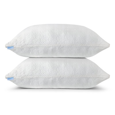 Akhenaton Memory Foam Plush Support Pillow