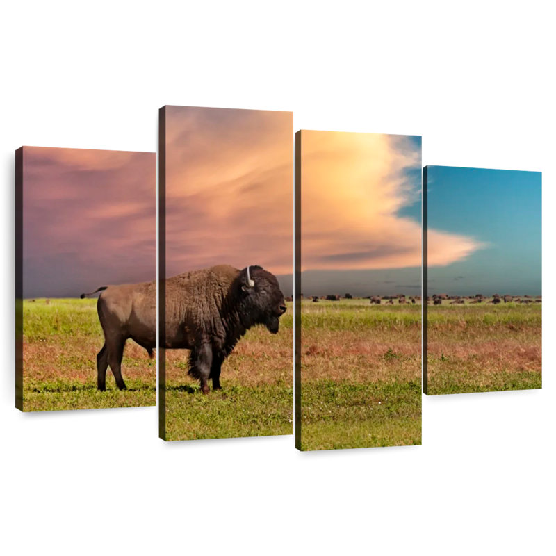 Brampt Badlands Bison