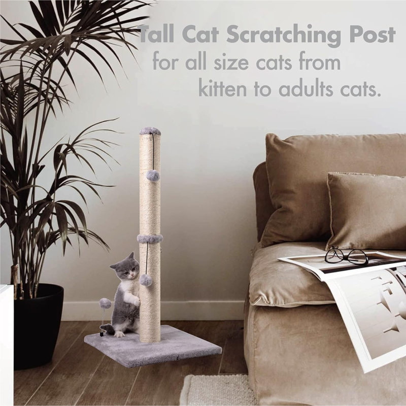 Sisal chaton haut de gamme avec poteau à suspendre d'intérieur H 34 po MECOOL, Gris