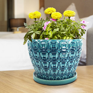 Pot Planter