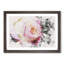Pink Tipped Rose - Framed Print-56892117-56892119