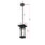Luminaire suspendu d'extérieur 6,5 pouces Nikole