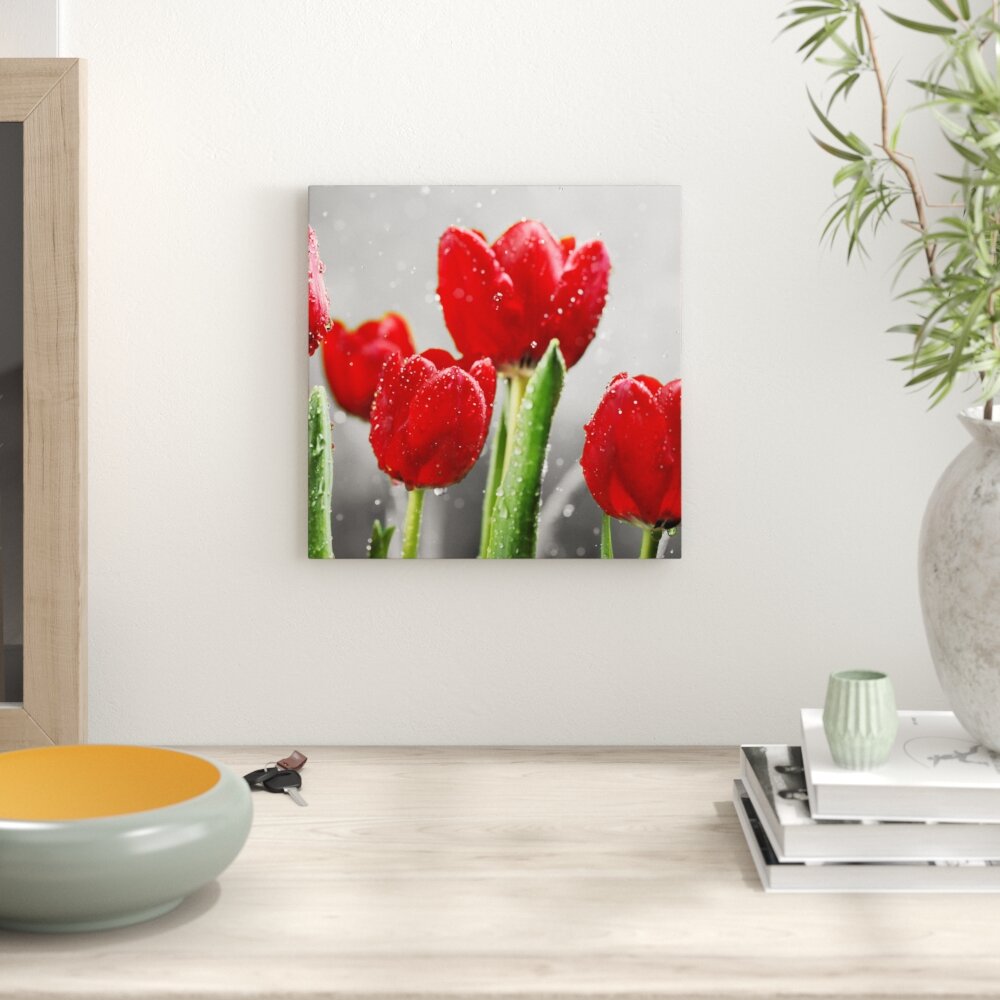 Leinwandbild Rote Tulpen mit Tropfen bedeckt