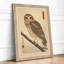 Barn Owl Branch Japandi - Framed Print-686876025-686876026
