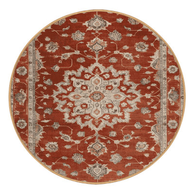 Machine Washable Overdyed Brown Area Rug