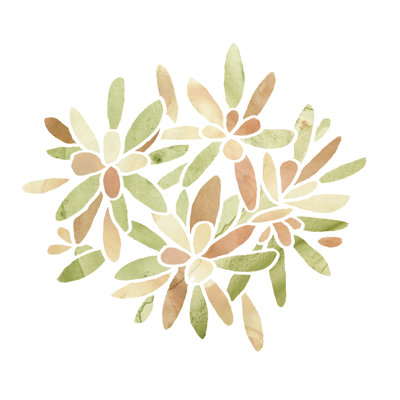 " Succulent Cameo X "