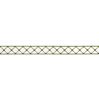 Schumacher X Paloma Contreras Parisian Bamboo Trim
