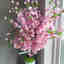 Customer photo 3 of 3