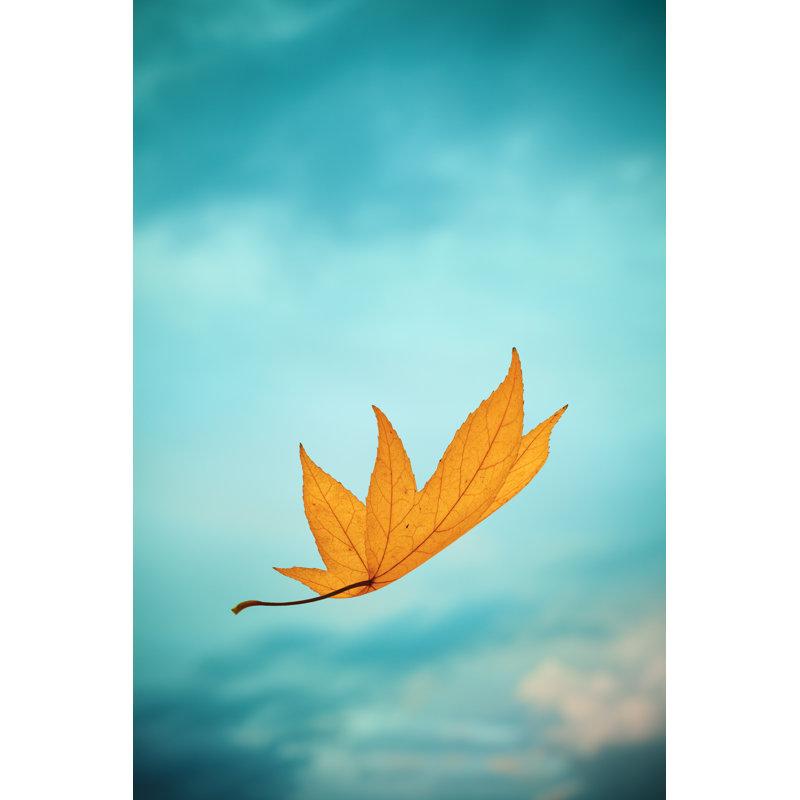 Yellow Autumn Leaf by Borchee - Wrapped Canvas Print, 46cm H x 30cm W x 3.8cm D