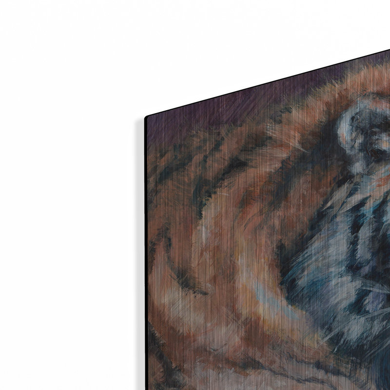 " Tiger Tales " by Robert Campbell, 16" H x 24" W