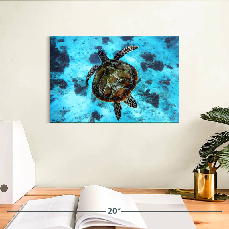 Brampt Turtle Habitat, 8" H x 12" W