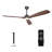 SkyFan Rigel 60" 3-Blade Ceiling Fan-2055300162