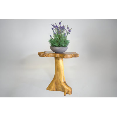 Burruss Mushroom Side Table