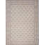 Oriental Area Rug in Beige