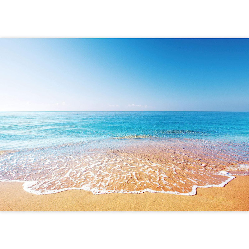 Coastal Beachy Peel & Stick Border, 100" L x 144" W