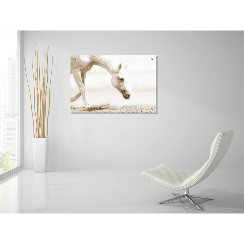«Trail Horse Sepia» par Kari Brooks, 24" H x 36" W x 0.2" D